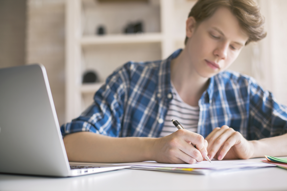 college essay writing courses