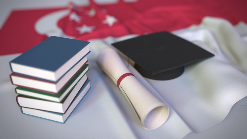 Curriculum Options Offered by International Schools in Singapore